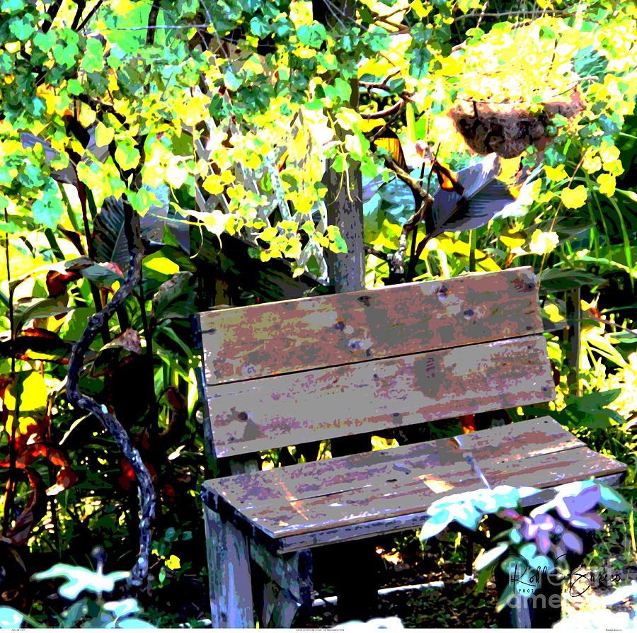 Come Sit With Me Under The Muscadine Vine Photograph by Philip And Robbie Bracco