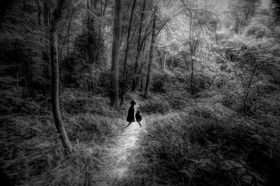 Come Walk With Me Black and White Photograph by Judy Vincent