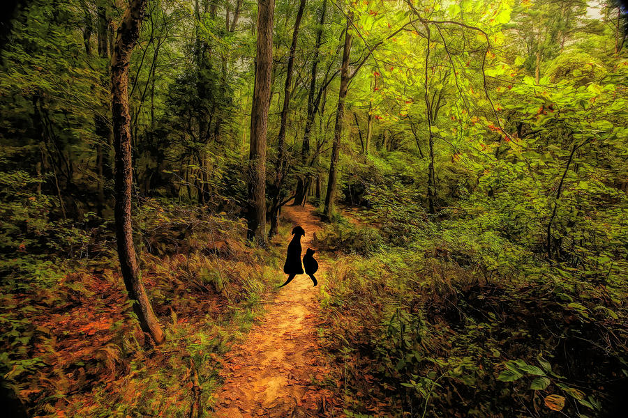 Come Walk With Me di Brandon Knight su Amazon Music ...