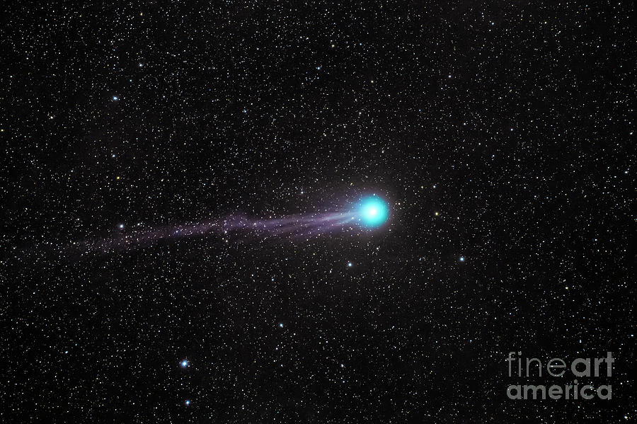 Comet C 2014 Q2 Photograph by Miguel Claro/science Photo Library