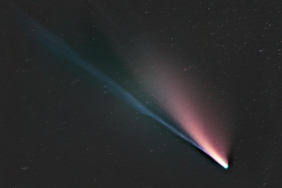 Comet Neowise C2020 F3 Photograph by Reinhold Wittich