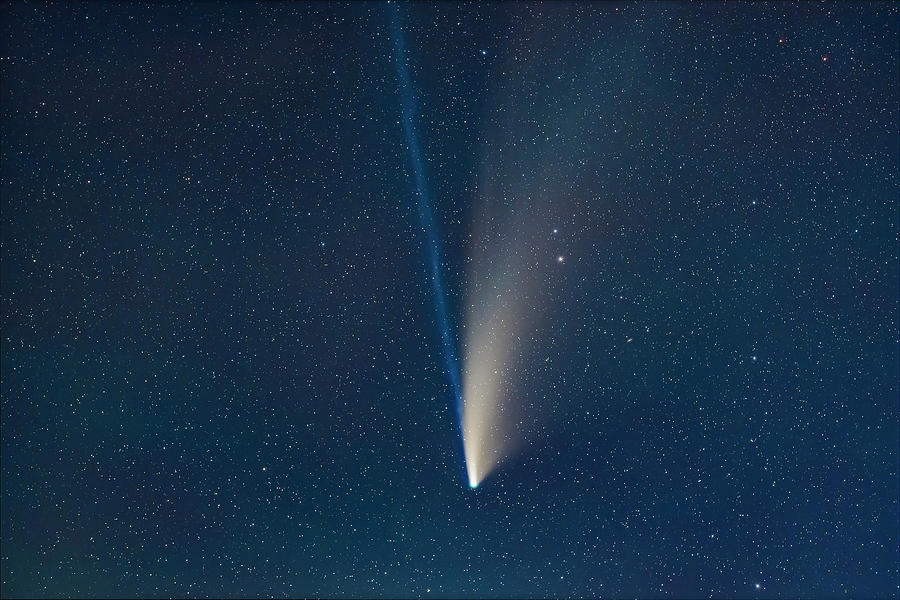 Comet Neowise In A Telephoto Lens Photograph by Alan Dyer