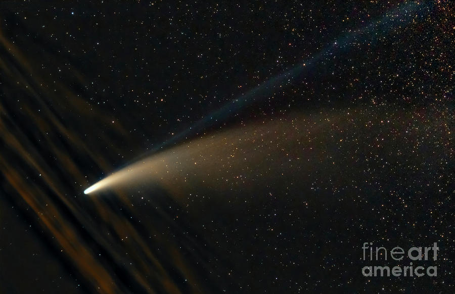 Comet Neowise In July 2020 Photograph by Damian Peach/science Photo Library