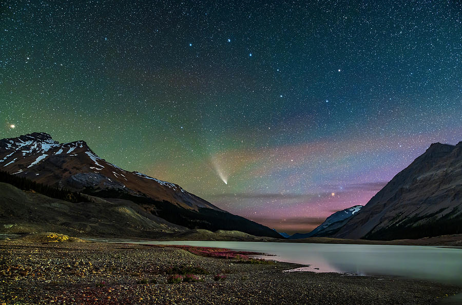 Comet Neowise Over Columbia Icefield Photograph by Alan Dyer