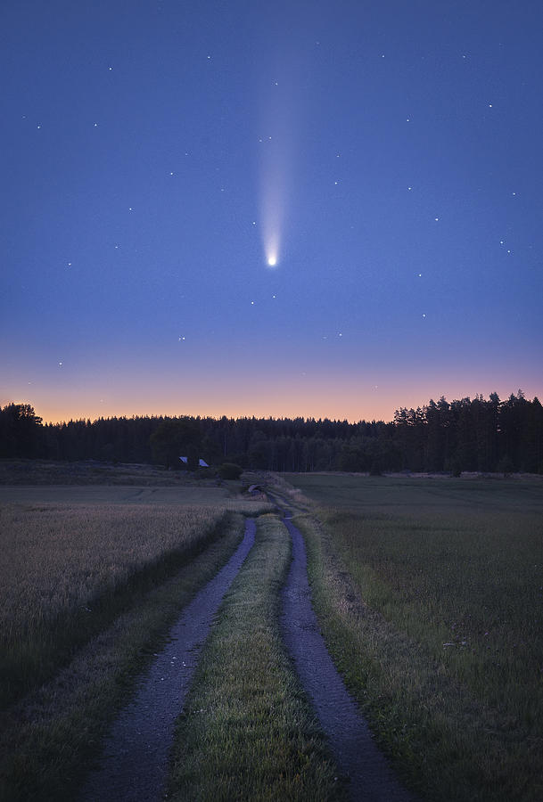 Space Photograph - Comet Neowise Over Sweden July 2020 by Christian Lindsten