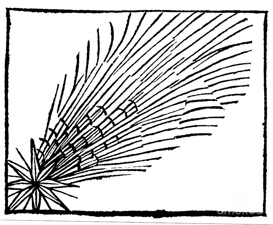 Comet Of 684 Halley, 1493 Drawing by Print Collector