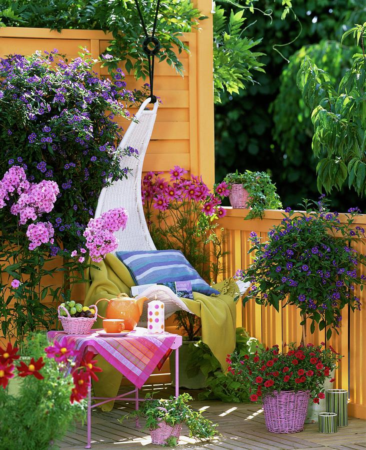 Comfortable Hanging Chair On Balcony With Colourful Flowering Plants Photograph by Friedrich Strauss