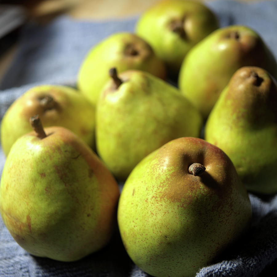 Comice Pears Photograph by Brian Yarvin