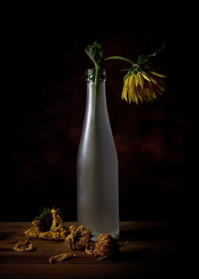 Still Life Photograph - Commemorate The Lost Life by Annie Poreider