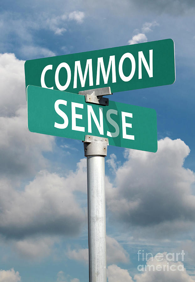 Common sense sign by Michelle Cyr