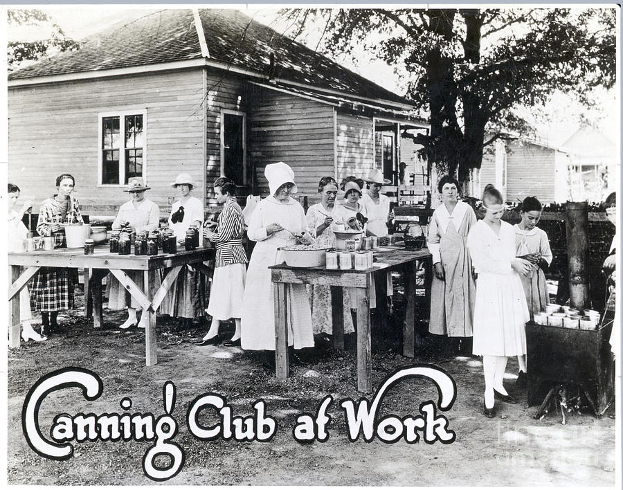 Community Cooking And Canning Club Photograph by Bettmann