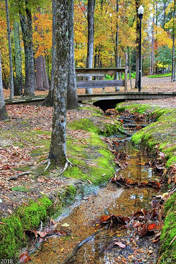 Community Park Of Irmo South Carolina Creek Photograph by Lisa Wooten