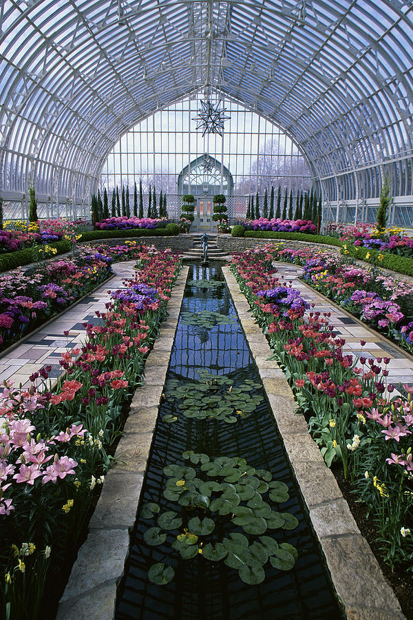 Como Park Conservatory, St. Paul Photograph by Artist - Unknown Como Park Conservatory, St. Paul Photograph by Artist - Unknown