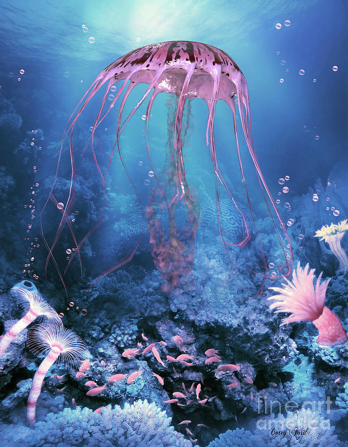 Compass Jellyfish Digital Art by Corey Ford
