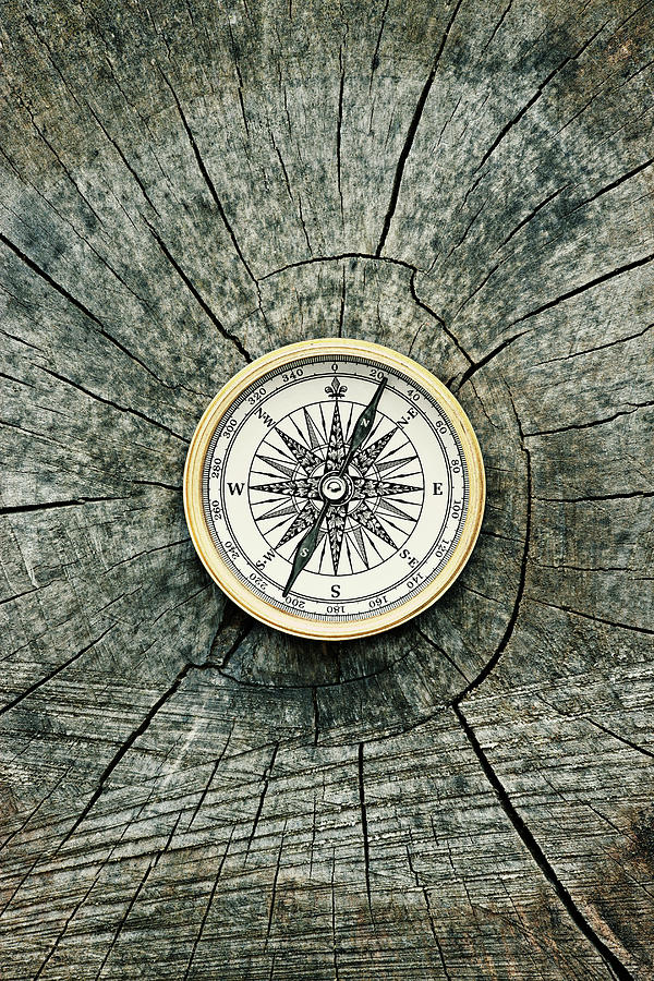 Compass On A Tree Rings Photograph by David Muir