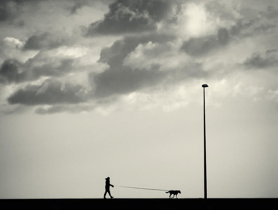 Dog Photograph - Compelling Need by Marco Bianchetti