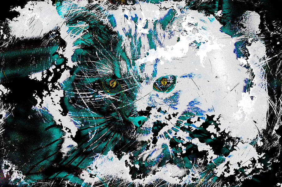 Complex Abstract Kitten Digital Art by Don Northup