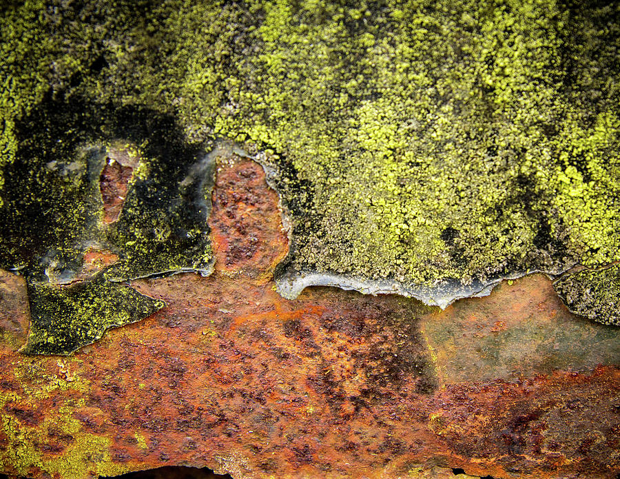 Complicated Rust Photograph by Jean Noren