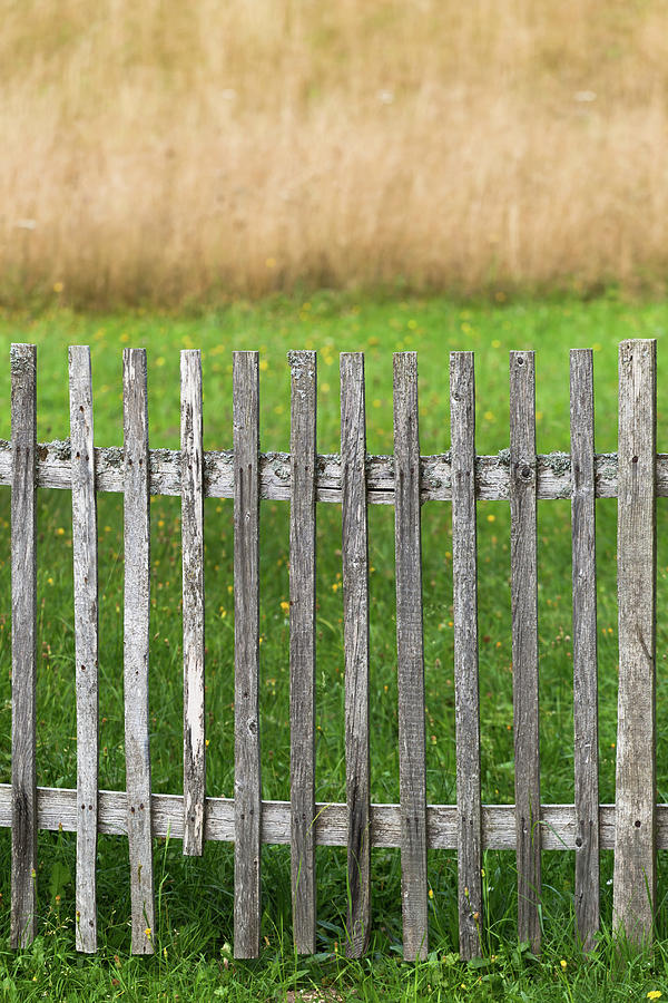 Composition with fence by Davor Zerjav Composition with fence by Davor Zerjav