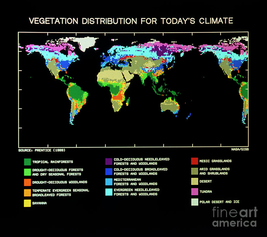 Computer Map Of World Vegetation Current Climate Photograph By Nasa