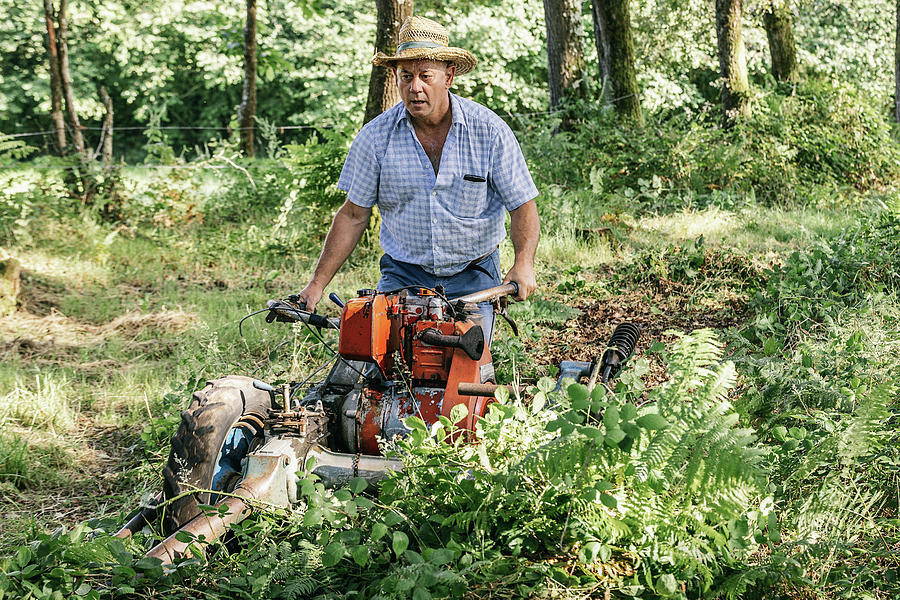 Concentrated, Old, Farmer, Hat, Working, Grass, Mower, Field, Work