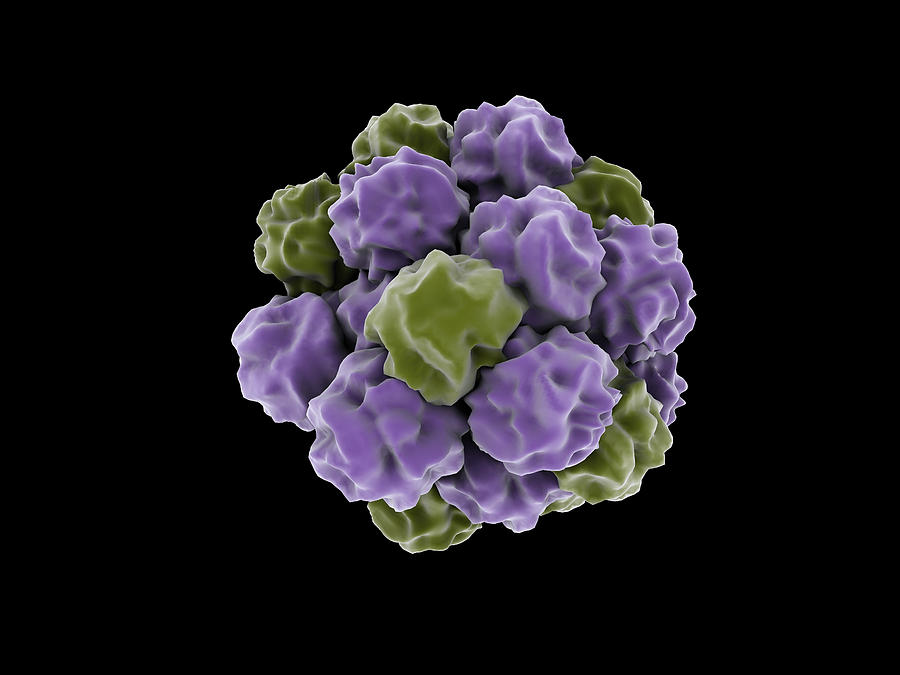 Conceptual Image Of A Single Norovirus Photograph by Stocktrek Images