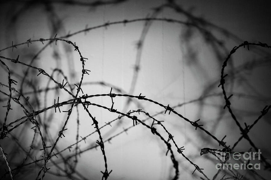 Concertina Wire In Berlin Wall Memorial, Photos Of People Killed By ...