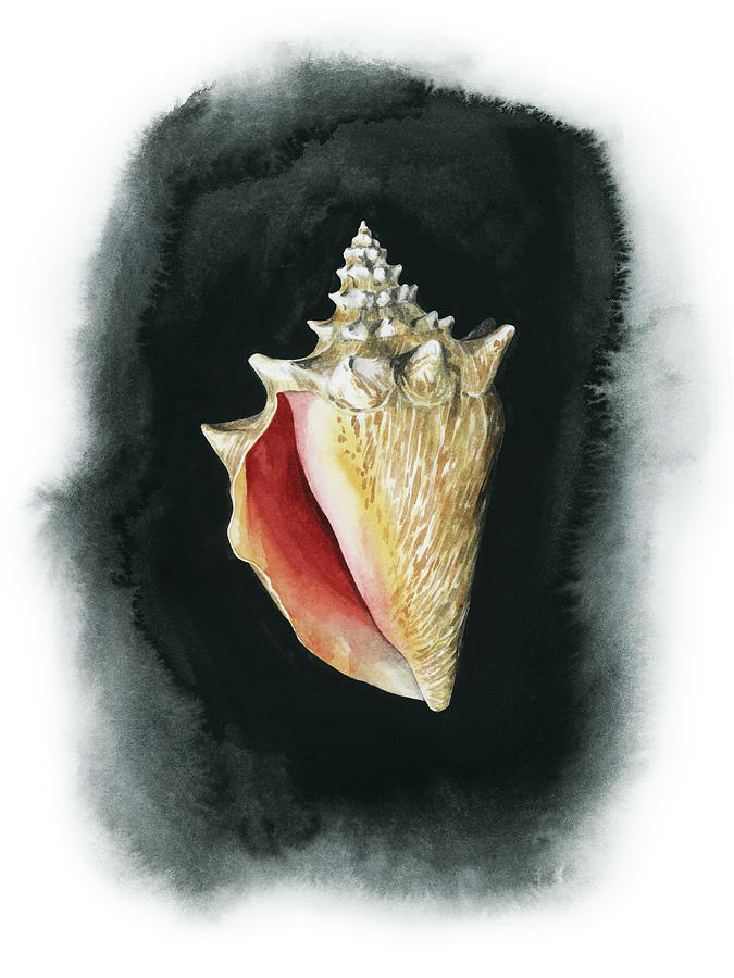 Animal Nature Painting - Conch On Black I by Grace Popp