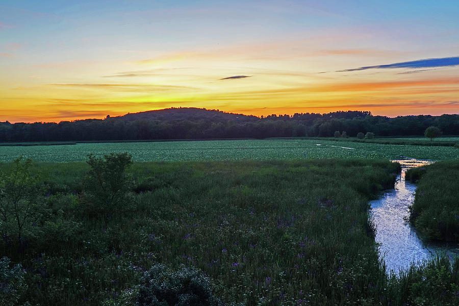 Concord MA Great Meadows Sunset Lotus Bloom Photograph by Toby McGuire