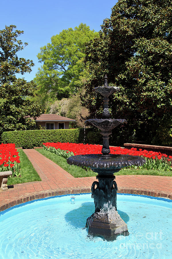 Concord Memorial Garden in the Spring with Tulips Blooming Photograph by Jill Lang