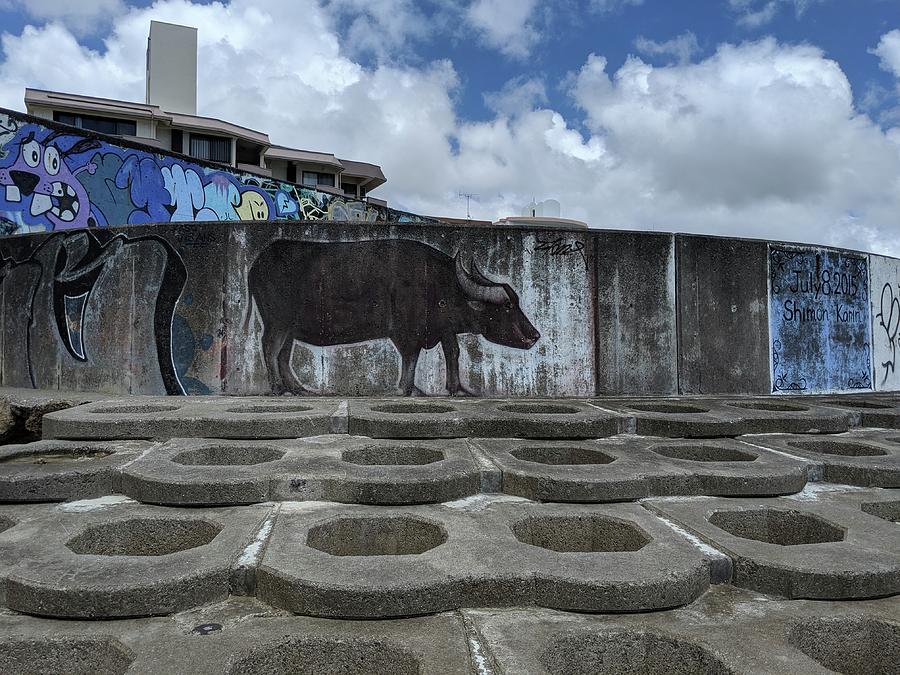 Concrete Bull Photograph by Eric Hafner