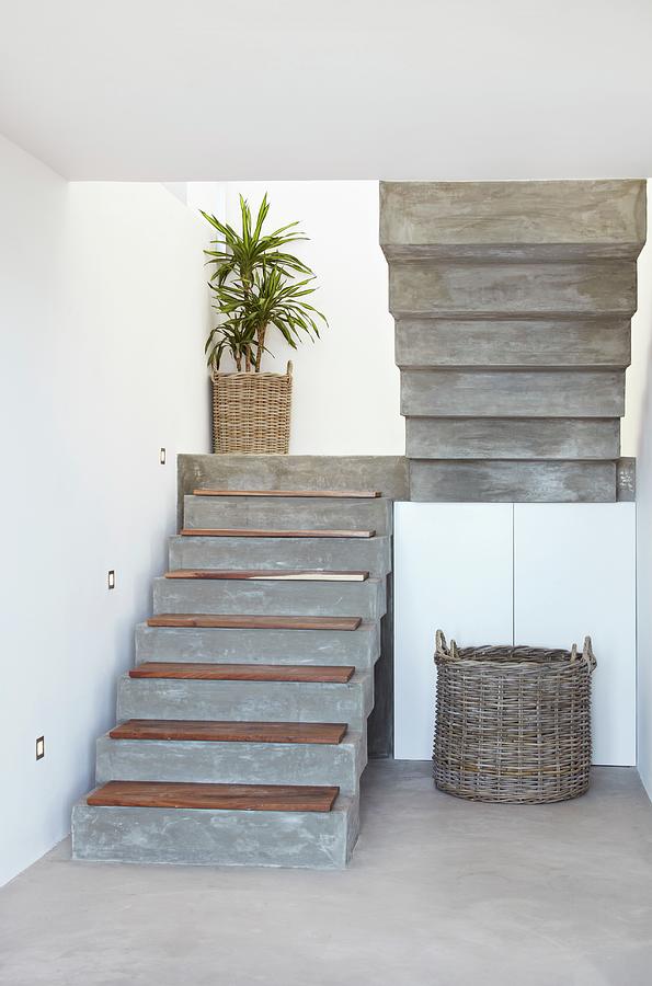 Concrete Staircase With Wooden Treads And Potted Palm On Landing Photograph by Simon Scarboro