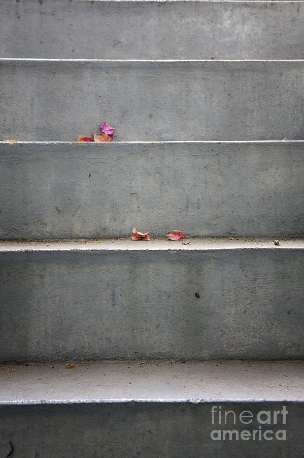 Concrete stairs with leaves by Jan Brons Concrete stairs with leaves by Jan Brons