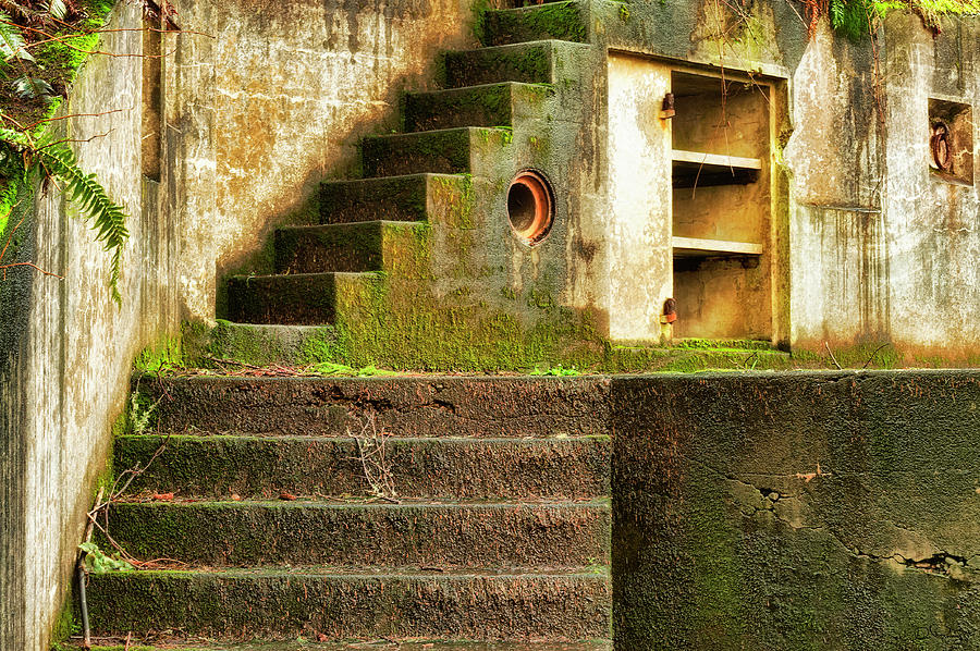 Concrete Weathered Stairway Photograph by Dee Browning