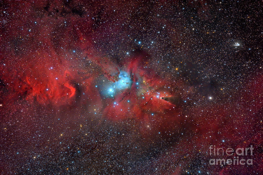 Cone Nebula And Christmas Tree Cluster Photograph by Miguel Claro/science Photo Library
