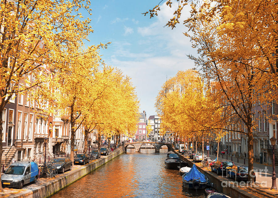 Autumn In Amsterdam Photograph