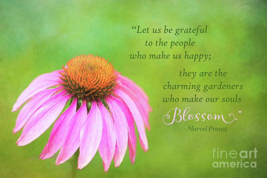 Coneflower Gratitude Art Photograph by Anita Pollak Coneflower Gratitude Art Photograph by Anita Pollak