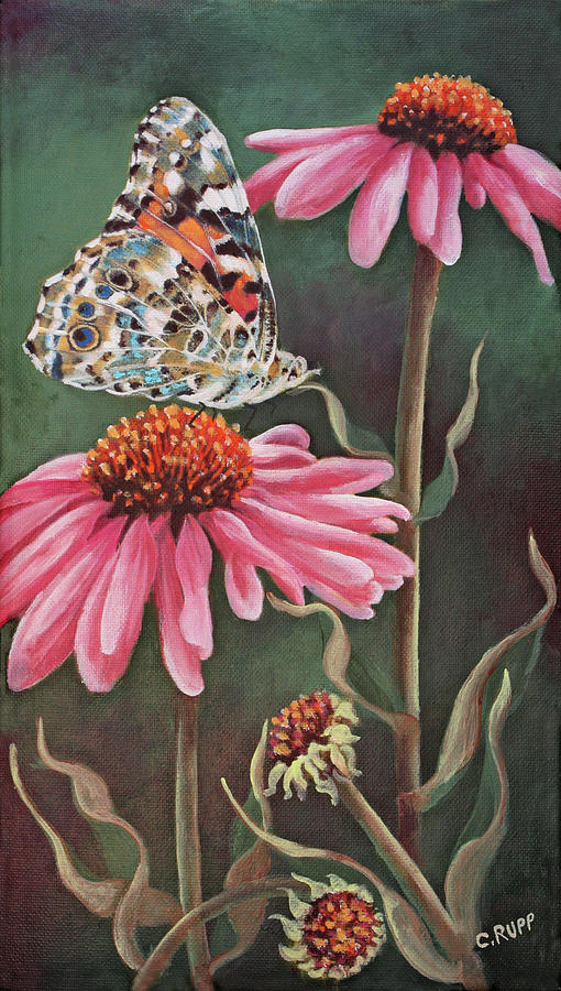 Insects Painting - Coneflower With Butterfly by Carol J Rupp