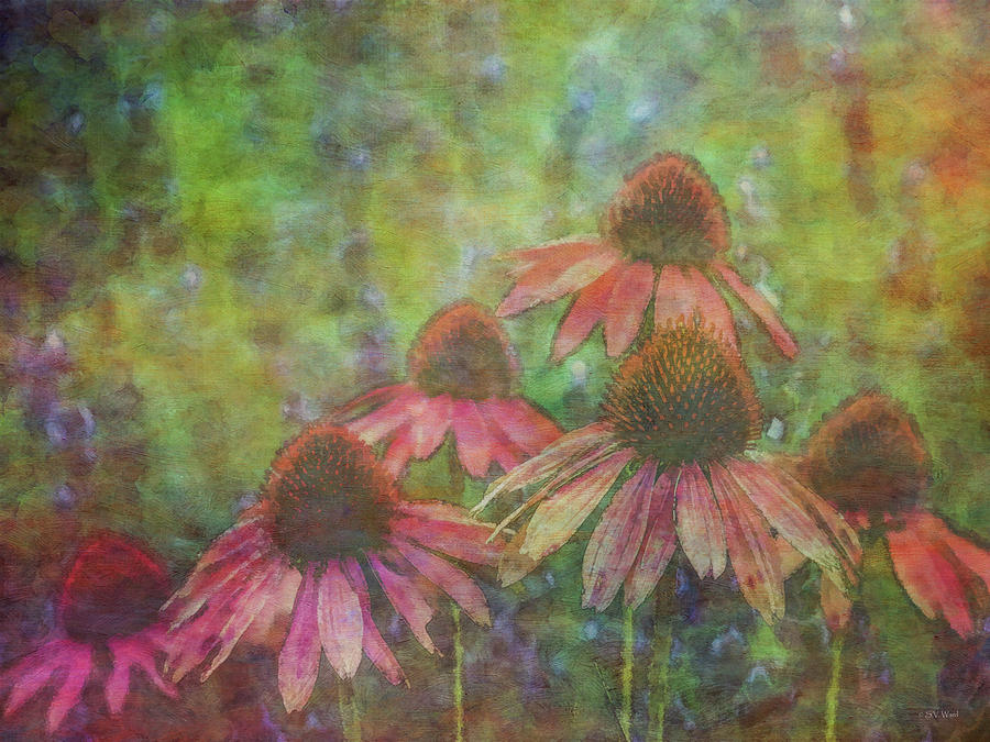 Coneflowers Among The Lavender 1667 Idp_2 Photograph