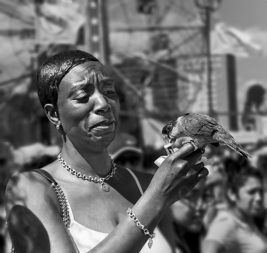 Parrot Photograph - Coney Island Parrot by Michael Castellano