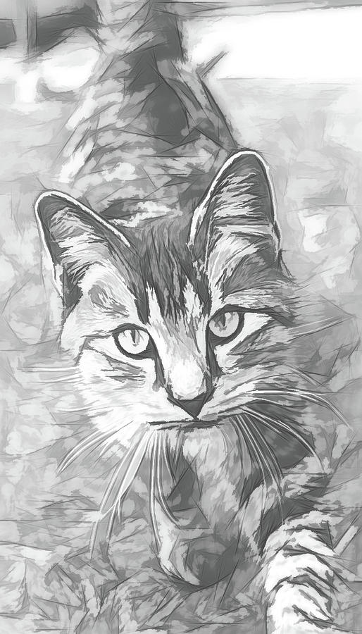 Winston the Cat Black and White Sketch Digital Art by Rick Deacon