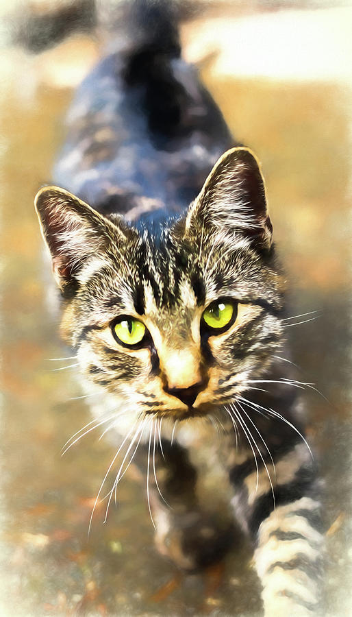 Winston The Cat Watercolour Digital Art by Rick Deacon