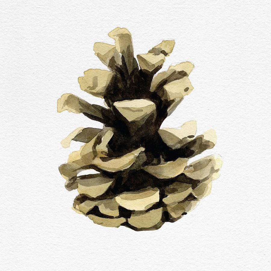 Conifer Cone IIi Painting by Emma Caroline - Fine Art America