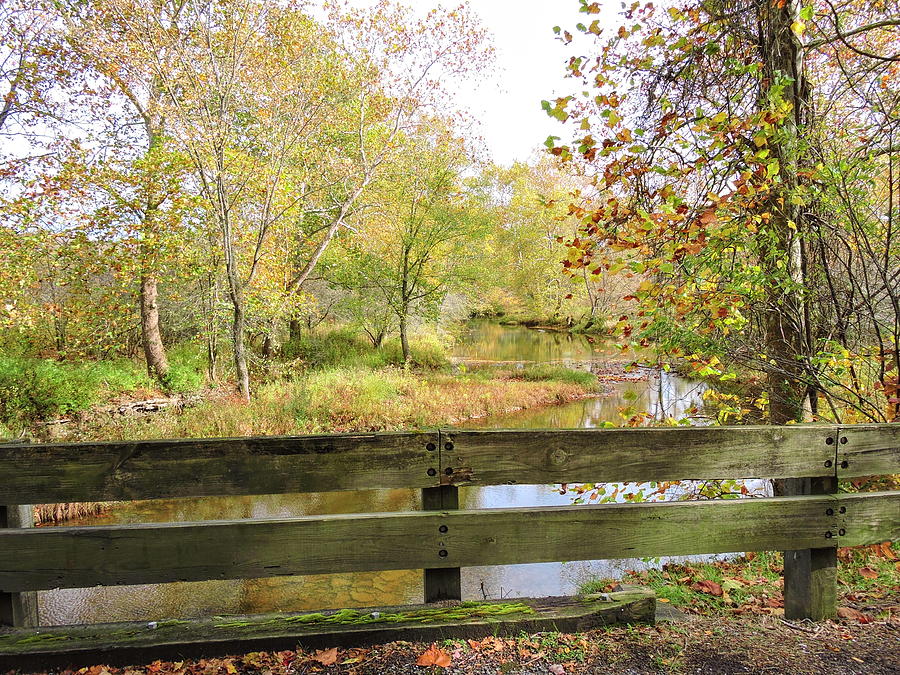 Conneaut Creek in Autumn Photograph by Susan Hope Finley