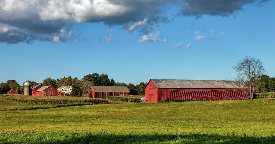 Connecticut Farm With Tobacco Barns Photograph by Mountain Dreams - Pixels