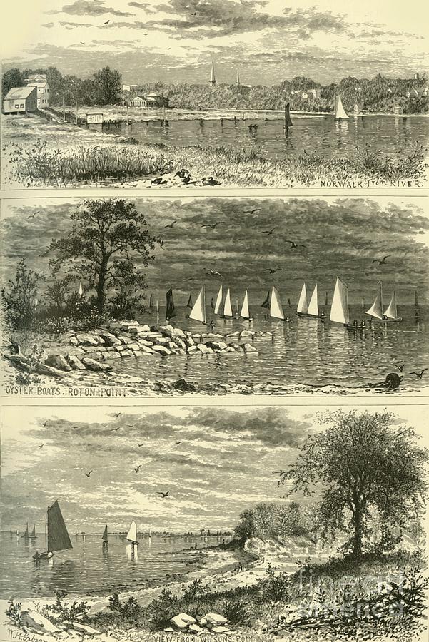Connecticut Shore Scenes Drawing by Print Collector