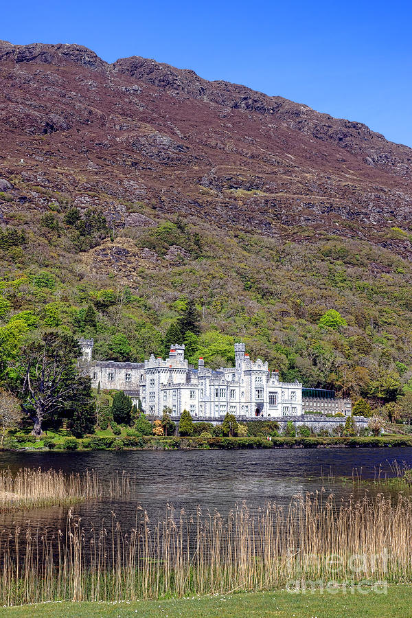 Connemara Kylemore Abbey  Photograph by Olivier Le Queinec