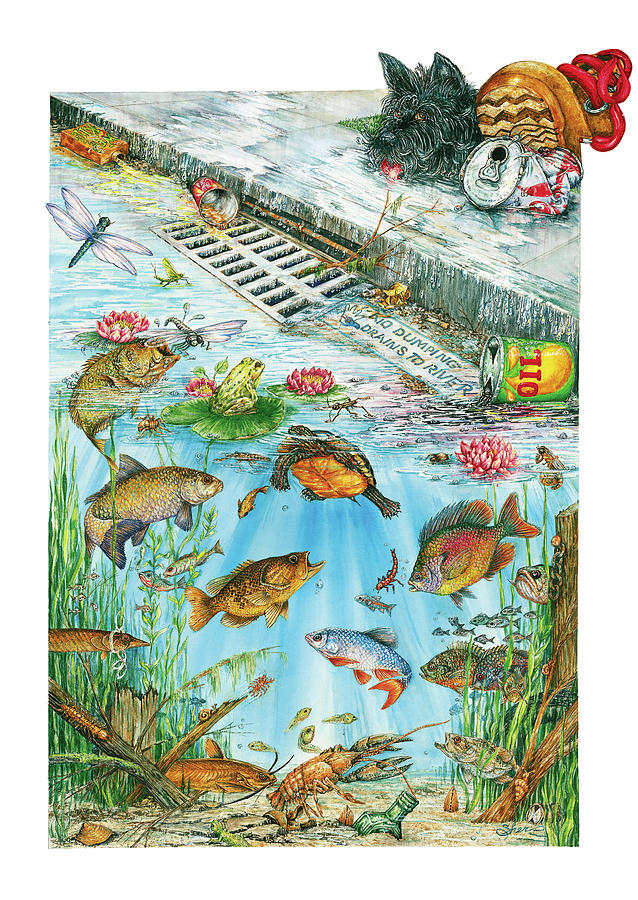 Fish Painting - Conservation Clean Water by Sher Sester