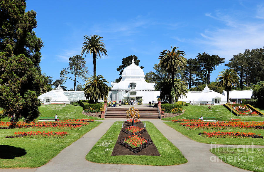 Conservatory Of Flowers Photograph by Diann Fisher - Fine Art America