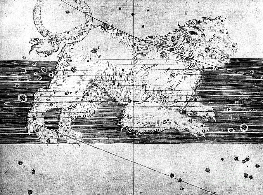 Constellation Of Leo, 1723 Drawing by Print Collector